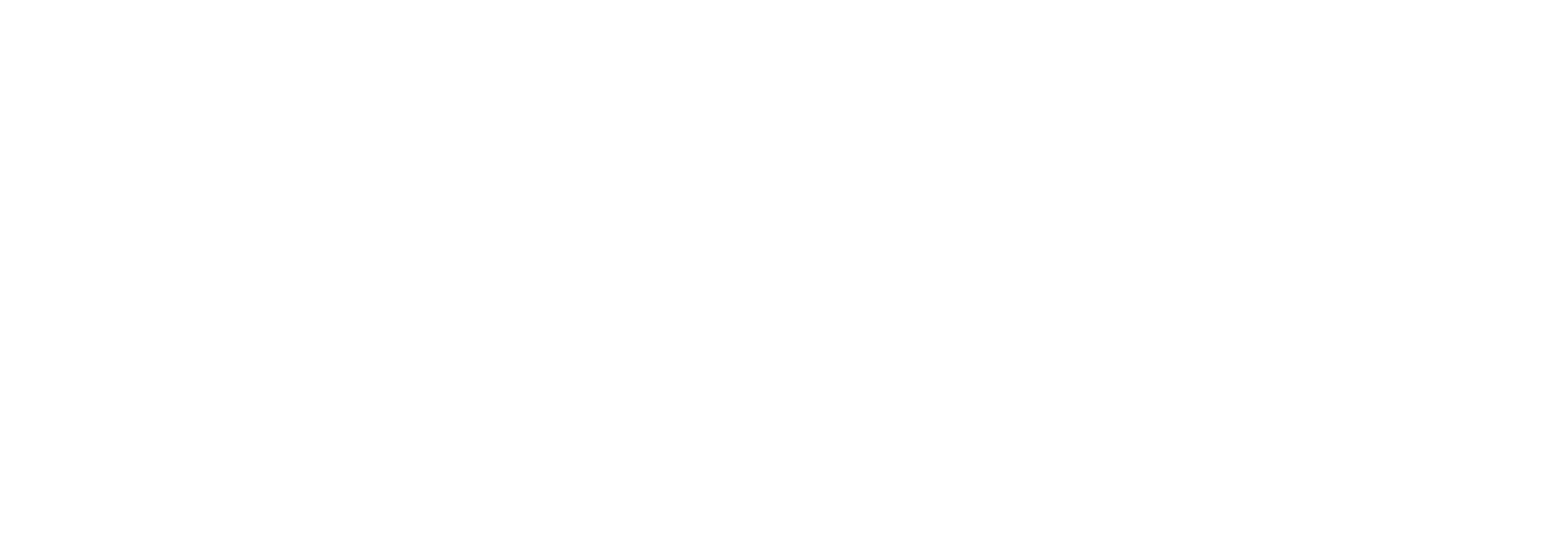 Rooter Town™ Client logo