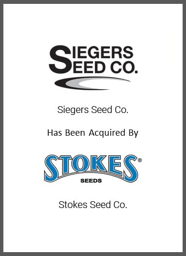 Siegers-Seed.jpg