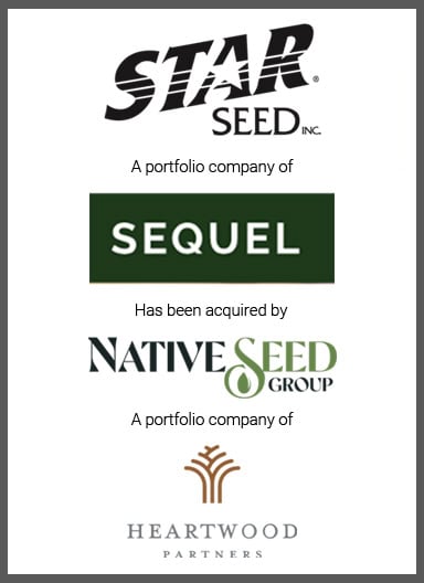 Star-Seed.jpg
