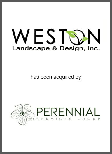 Weston-1.jpg