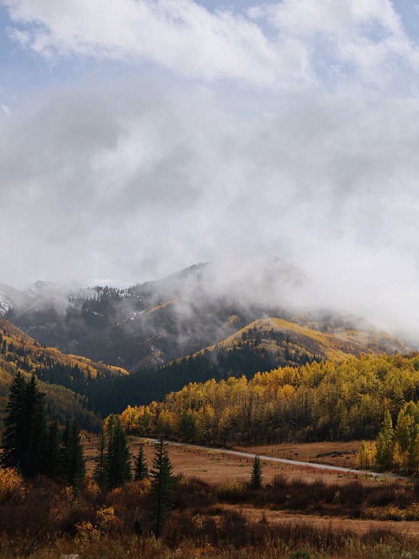 Aspen
